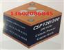 CSP120/200高频感应加热电容CELEM电容货源
