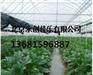 北京怀柔温室花卉大棚骨架价格，怀柔温室大棚建设厂家