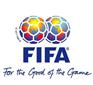 FIFA国际足联认证  人工草坪认证
