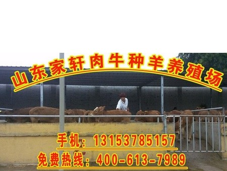 江西省东乡县养殖业补贴政策.养牛的利润.关于