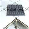 直铺式永久性PVC防静电地板产品展示