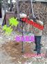种树专用挖坑机 轻便式挖坑机 汽油挖坑机