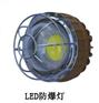 KLD8100-20W小型LED防爆灯