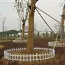 供应泸州PVC草坪围栏+塑钢栅栏