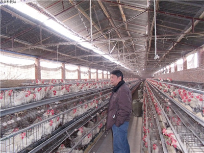 鸡鸭鹅养殖场到底要怎么消毒杀菌才更健康