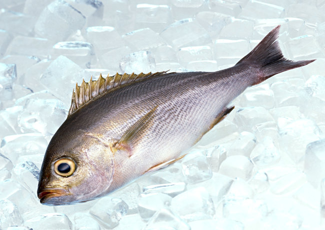 韩国冷冻鱼如何进口|哪家报关公司可以代理进