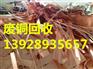 广州市南沙区金洲紫铜回收紫铜黄铜磷铜马达铜价格高
