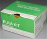 人麻疹病毒(MV)ELisa检测试剂盒