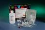 人流行性腮腺炎(EP)ELisa检测试剂盒