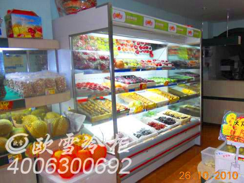 广东珠海市保税区水果冷藏展示柜什么品牌好_