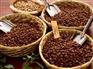 青岛进口加拿大咖啡代理/青岛咖啡进口代理清关公司