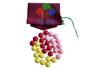 20507塑料球、小学数学教学仪器配备标准、友联科教