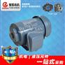 TOP-12A 润滑油泵电机 台湾群策电机 润滑系统专用