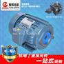 供应台湾油泵专用电机 0.75KW电动机 VP20 油泵电机