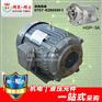 HGP-3A 5.6KW 台湾群策液压电机 C7B-43B0