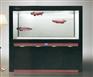 巴中鱼缸——出色的鱼缸由成都托田提供