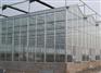 临沂玻璃温室大棚——山东优质的玻璃温室大棚建造