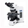 BX51-P偏光显微镜性能参数