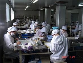 北京通州区20万公司注册P2P申请_医疗器械许