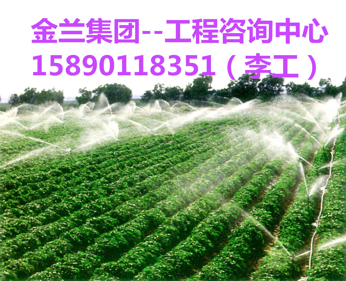 杭州编写蔬菜批发市场建设项目可行性报告的公