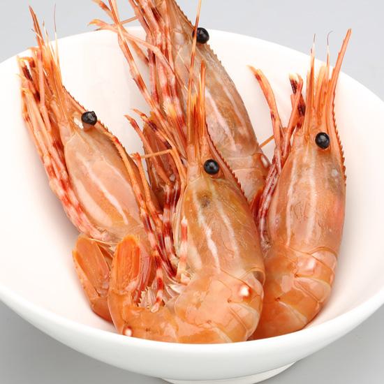 牡丹虾品种图片